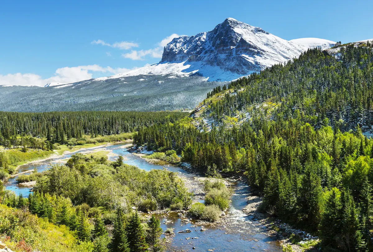 montana car shipping
